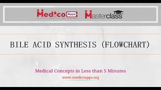 BILE ACID SYNTHESIS [upl. by Linnette120]