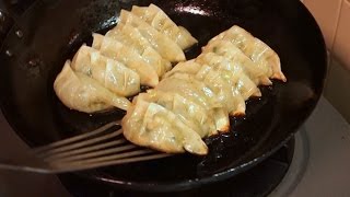 Gyoza Jiaozi Todays Cooking [upl. by Adnarahs856]