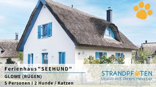 Ferienhaus mit Hund  Katze auf Rügen I Ostsee I Ferienhaus „Seehund“ I STRANDPFOTEN [upl. by Virgil]