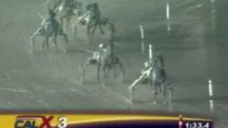 Harness Racing Impossible Comeback  Hitchhiker [upl. by Chancelor]