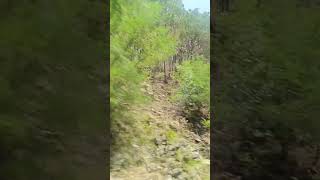 Going to balakot 30 june 2024 videoshowbyhoneyjutt viralvudeos trendingvideos [upl. by Storfer]