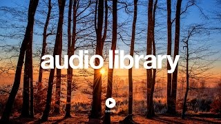 Acoustic Folk Instrumental – Hyde  Free Instrumentals No Copyright Music [upl. by Eirac]