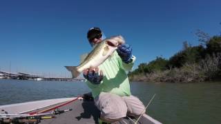 Lake Lewisville Post Spawn Fishing At Its Best [upl. by Bathsheb]