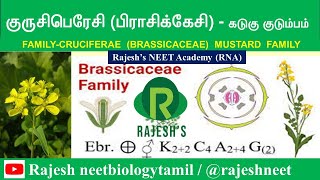 Cruciferae  Brassicaceae  Mustard Family  Rajesh NEET Academy RNA  rajeshneet  RNBT  RNA [upl. by Vasileior]