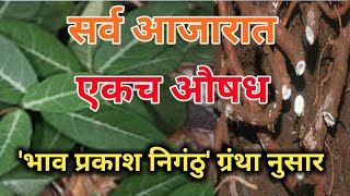 anantmool che fayde Marathi अनंतमूळ वनस्पती सारिवा चे फायदे sariva che fayde Nagarjuna Ayurveda [upl. by Gilbye333]