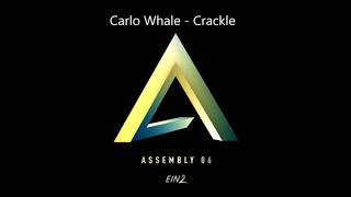 Carlo Whale  CrackleOriginal Mix EIN2 [upl. by Lindner133]