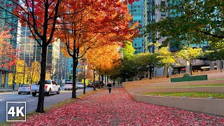 【4K】Vancouver Walk Georgia Street from Stanley Park to BC Place Canada Binaural City Sounds [upl. by Gasper547]