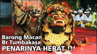 23 M VIEWS BARONG MACAN BALI  Tegallalang Gianyar [upl. by Urina]