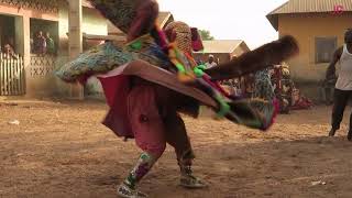 Tradional dances of Togo and Benin West Africa [upl. by Yknip]