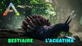 Ark Survival Evolved  FR  Bestiaire  LAchatina [upl. by Millman]