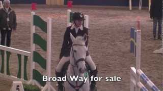 FEI Grand Prix pony for sale [upl. by Aerol]