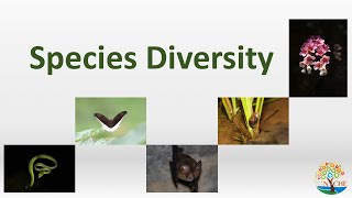 Species Diversity  Biodiversity Wildlife Conservation and Management3  NICHE [upl. by Yenar]