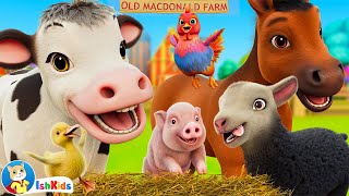 Old MacDonald Had a Farm  Nursery Rhymes amp Kids Songs  IshKids  Version 2 [upl. by Ellita694]