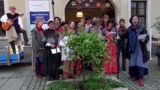 Spectaculum 2014 in Zittau [upl. by Cymbre]