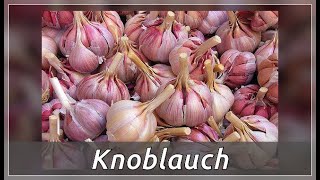 Knoblauch – heilende Eigenschaften [upl. by Emmott863]