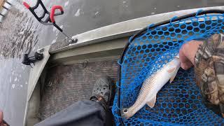 Catching redfish at Sneads Ferry North Carolina [upl. by Lilias]