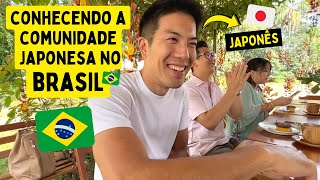 Um japonês conhecendo a comunidade japonesa no Brasil [upl. by Anitan]