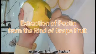 Extraction of Pectin from Rind of Grape Fruit [upl. by Ettegroeg]