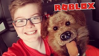 Playing Roblox with Hacker the talking dog [upl. by Honig835]