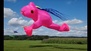 Drachenfest Melle 2023 Kite Festival Melle Germany 2023 [upl. by Airotna863]