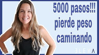 5000 pasos caminando en casa para perder peso sin alto impacto 🔥😃 [upl. by Milda]