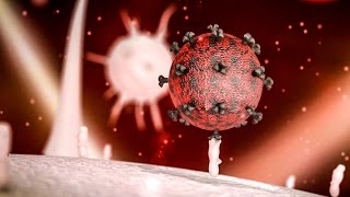 A potential cure for HIV [upl. by Ariahaj]