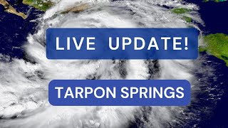 TARPON SPRINGS UPDATE [upl. by Iegres]