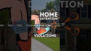 Indiana Home Detention Violation How a Minor Violation Can Cost You Your Freedom homedetention [upl. by Elladine70]