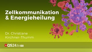 Feinstofflichkeit und Zellkommunikation in der Informationsmedizin  Erfahrungsmedizin  QS24 [upl. by Radmen]