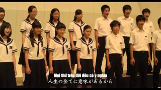 Tegami Choir version Vietsub [upl. by Piggy]