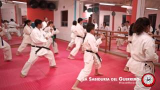 Clase de Karate Shotokan tradicional en La Sabiduría Del Guerrero  México DF [upl. by Sinned]