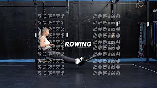 Basics of the Rowing Technique [upl. by Ettelliw]