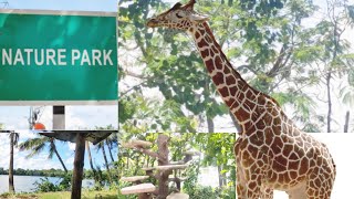 NATURE PARK KOLKATA vlog in hindi  Nature park taratala  Couples park in kolkata  zoo [upl. by Donahoe619]