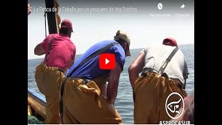 La Pesca de la Caballa por un pesquero de Isla Cristina [upl. by Rusticus]