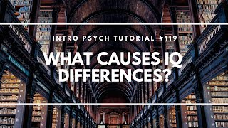 What Causes IQ Differences Intro Psych Tutorial 119 [upl. by Som]