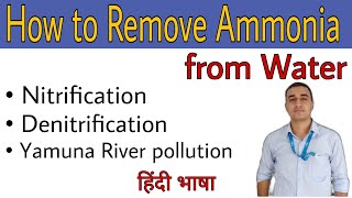 How to remove ammonia from Water what is nitrification and denitrificationETPKnowledgeJunction [upl. by Annayi]