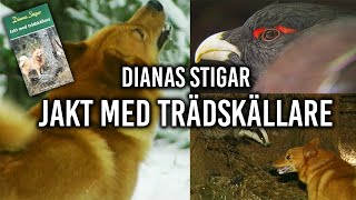 Jakt med Trädskällare  Dianas Stigar 1999 [upl. by Airetnahs]