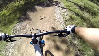 Dungog Mountain bike track [upl. by Toombs568]