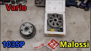 Tuto montage variateur malossi sur embrayage peugeot 103 [upl. by Adnot377]