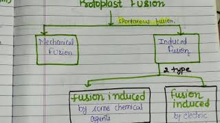 Protoplasm  Definition Diagrams Components Properties and Functions [upl. by Almund]