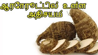 ஆரோரூட்டில் உள்ள அதிசயம்  Top Benefits in Arrowroot  Tamil Health Tips [upl. by Legge156]