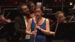 Wolfgang Amadeus Mozart Clarinet Concerto in A major K622 [upl. by Kcirrek]