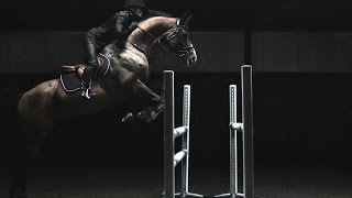 HampM Life  Sports Studio Horse Jumping with Malin Baryard [upl. by Amelus]