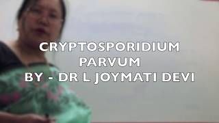 CRYPTOSPORIDIUM PARVUM [upl. by Dorian]