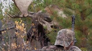 World Record Moose Shot [upl. by Delorenzo]