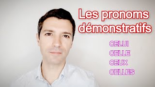 Français B2  Les pronoms démonstratifs CELUI CELLE CEUX CELLES [upl. by Gabi]