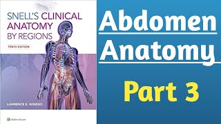 Snells Clinical Anatomy  Abdomen Gross Anatomy part 3  Anatomy Lecture [upl. by Prussian99]