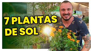 7 plantas para cultivar no sol  Conheça e aprenda como cuidar [upl. by Nan66]