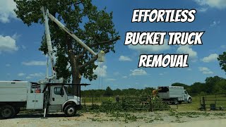 Cottonwood Tree Removal FASTEST Way With Bucket Truck [upl. by Hwu]