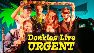 FOREIGNER  quotUrgentquot Donkies Cover Live [upl. by Wons]